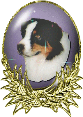 Dog in Globe